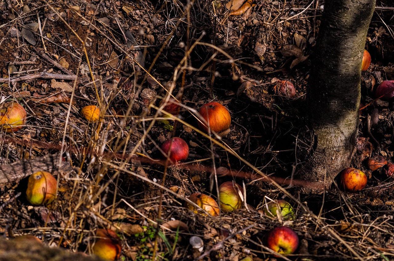 in cat timp iese 200 ml tuica