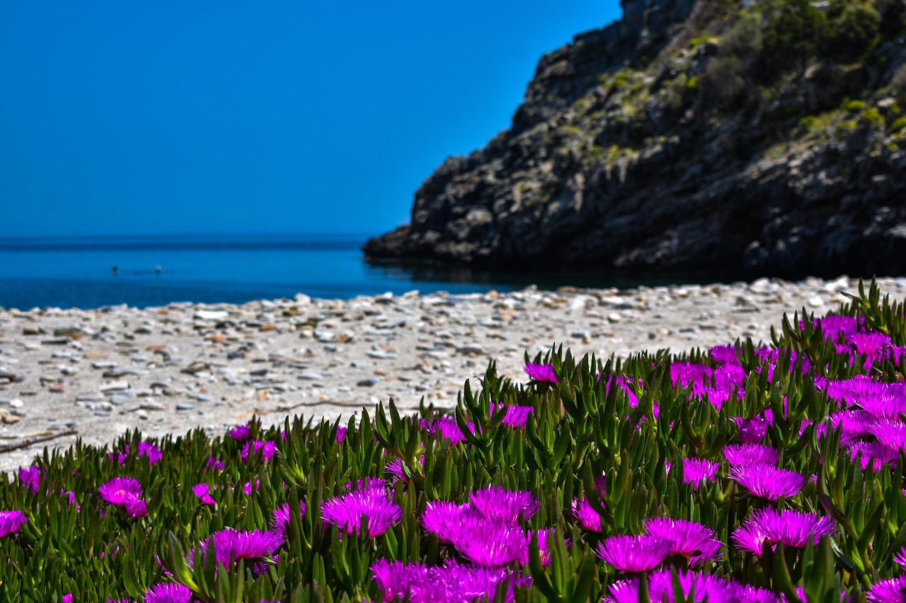 top plaje grecia