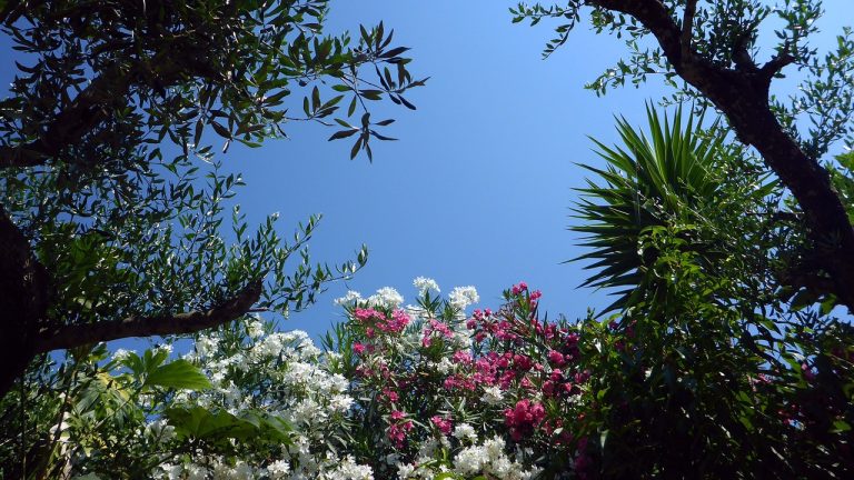 top plaje corfu