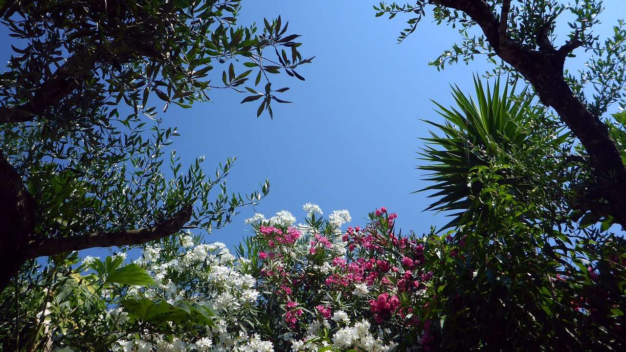 top plaje corfu