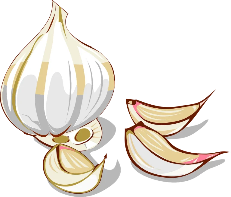 icoana