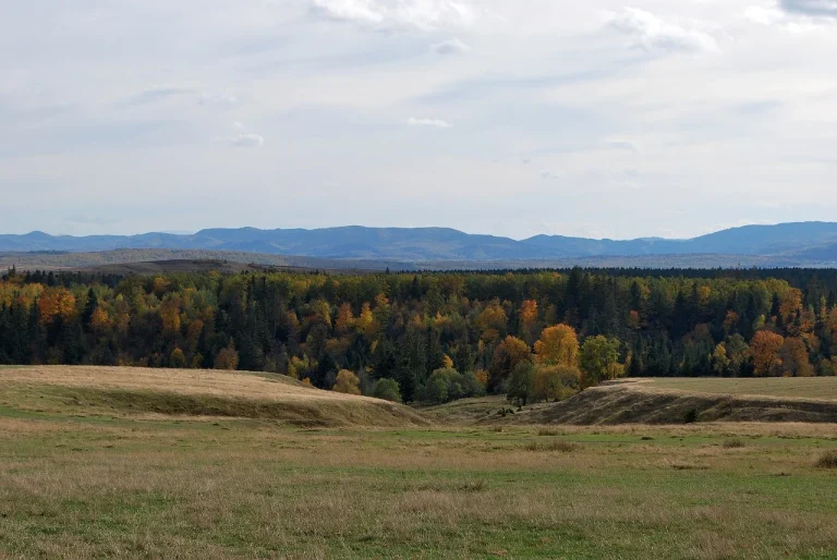 bucovina