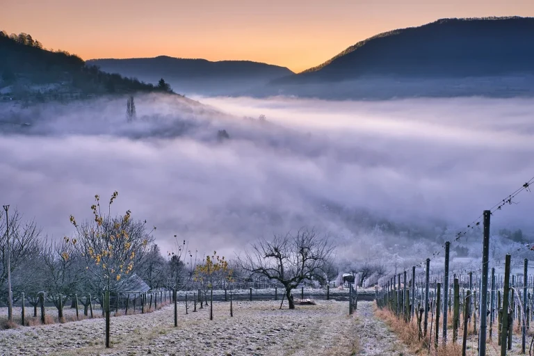 traditii si obiceiuri de iarna in oltenia