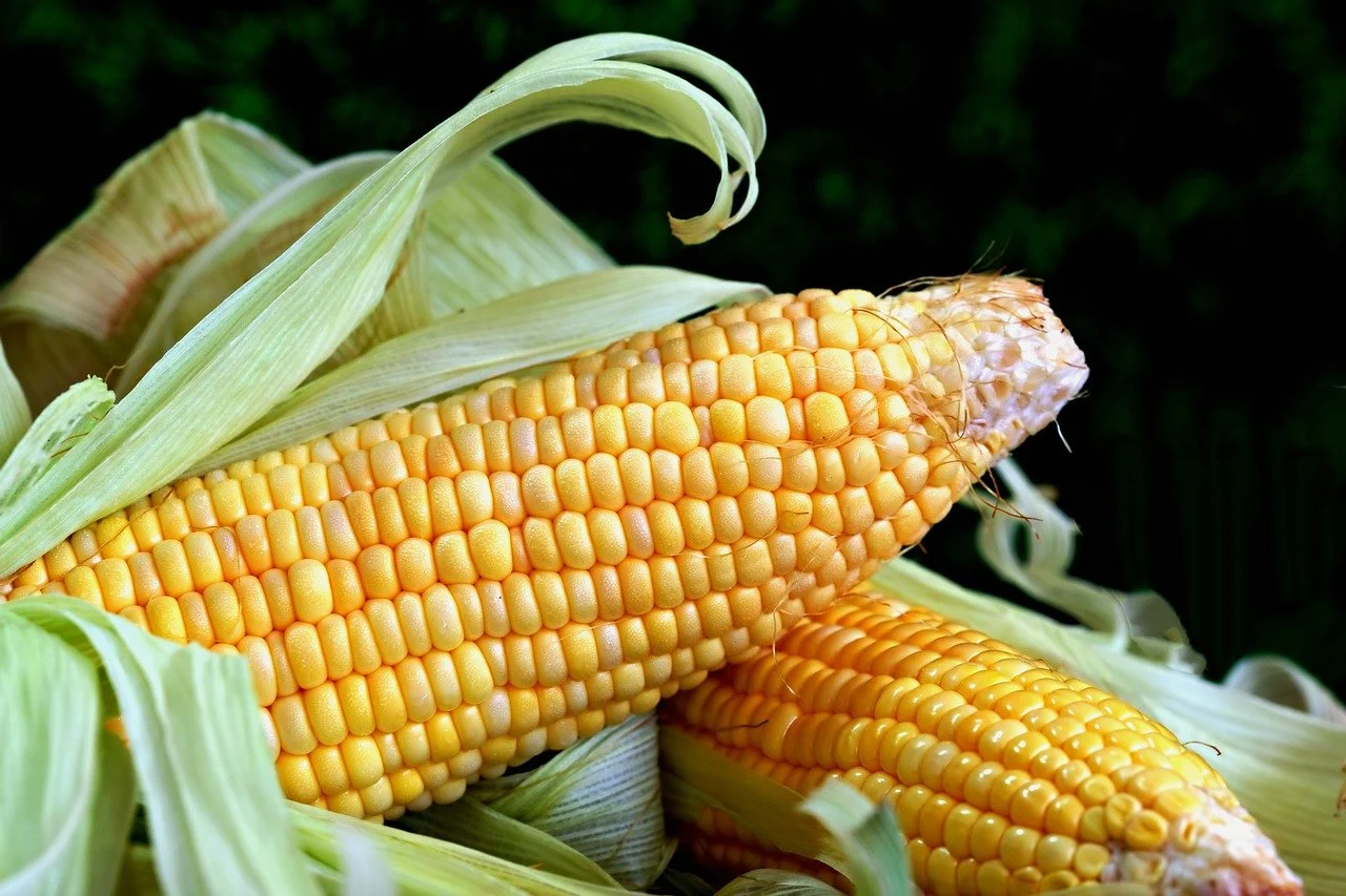 traditii culinare romanesti