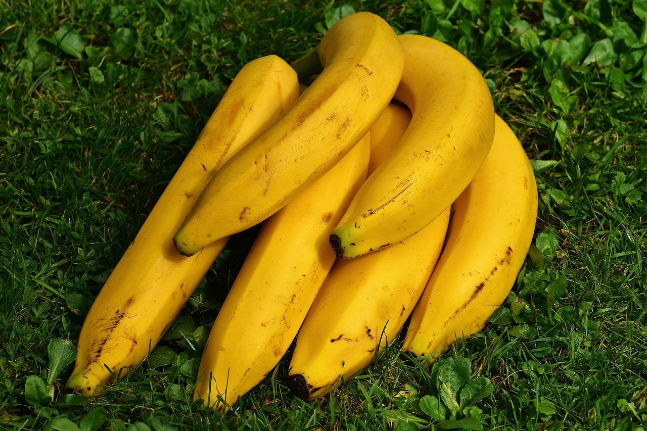traditii de la bunica prajitura cu banane